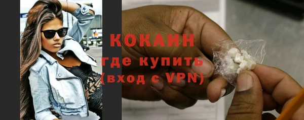 шишки Гусиноозёрск