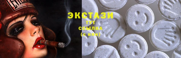 шишки Гусиноозёрск