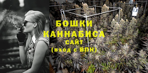шишки Гусиноозёрск