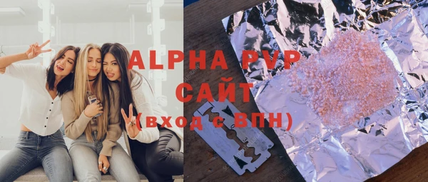 шишки Гусиноозёрск