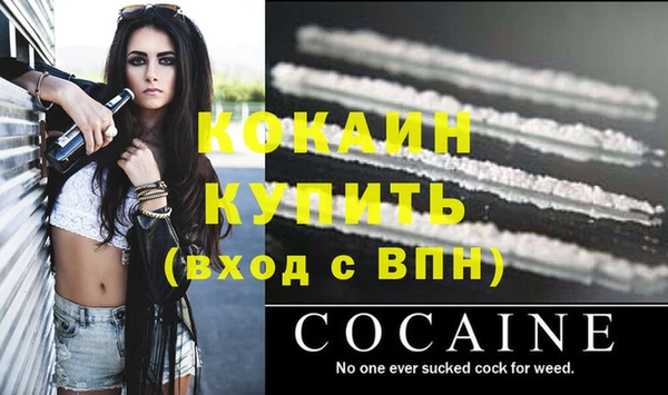 дмт Дмитриев