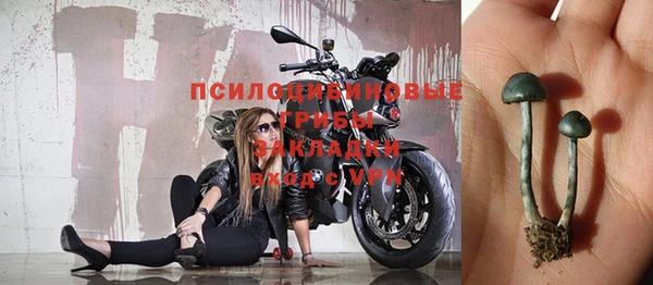 шишки Гусиноозёрск
