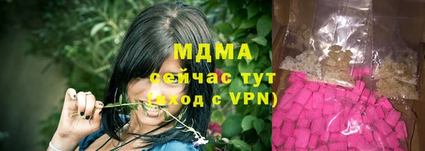 шишки Гусиноозёрск