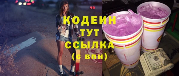 шишки Гусиноозёрск