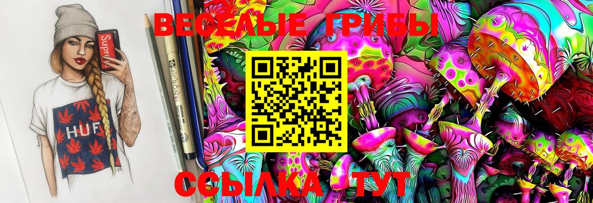 Псилоцибиновые грибы Magic Shrooms  Вход с VPN  Галлюциногенные грибы мухоморы  Мценск 