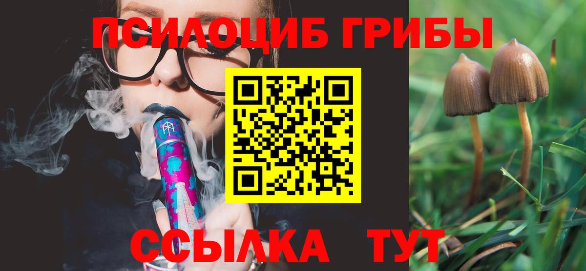 Галлюциногенные грибы GOLDEN TEACHER Мценск